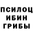 Галлюциногенные грибы Cubensis Dasha Uzhva