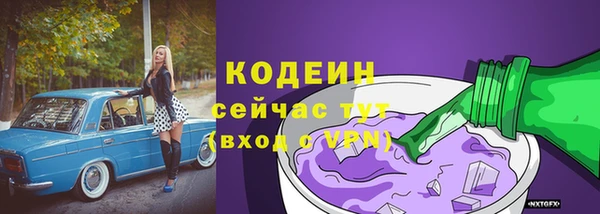 гашик Верея