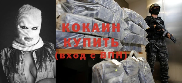 гашик Верея