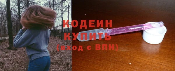 гашик Верея