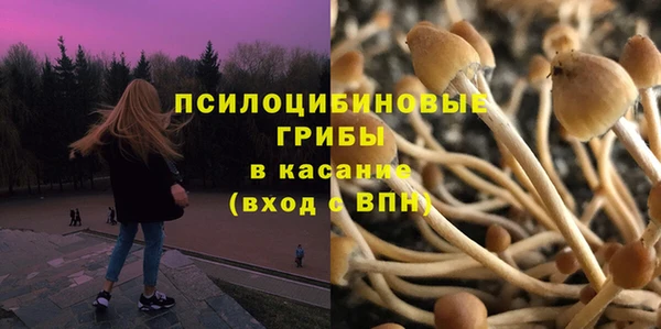 гашик Верея