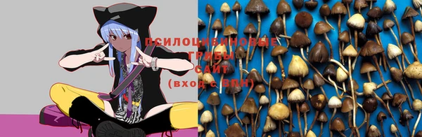 прущая мука Верхний Тагил