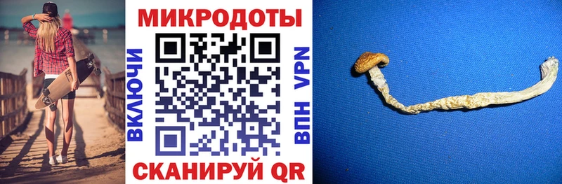 Галлюциногенные грибы Psilocybe  mega сайт  Дигора 